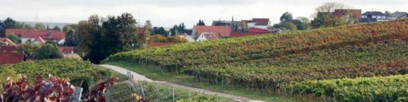 Bermersheim vor der Höhe