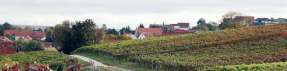 Bermersheim vor der Höhe